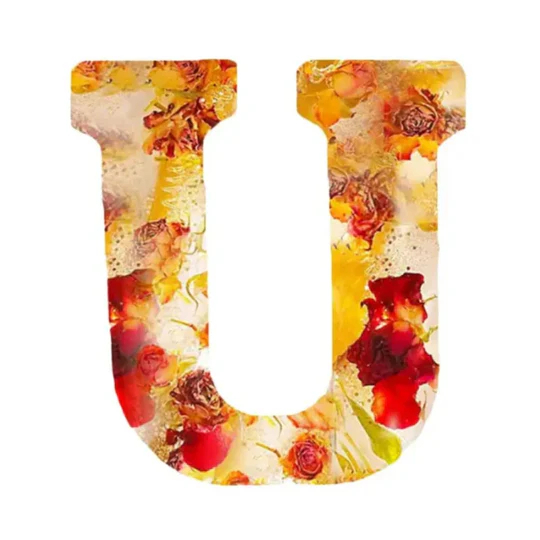 Bloom Glow Letters™ - Dried flowers + LED light!