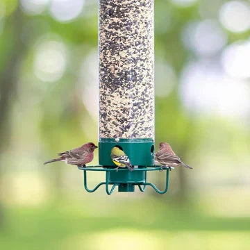BirdFeeder™ - Anti Squirrel