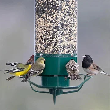BirdFeeder™ - Anti Squirrel